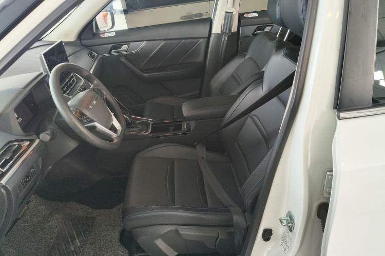 Used Venucia T60EV 2020 AI Enjoyment Model Left Front Seat
