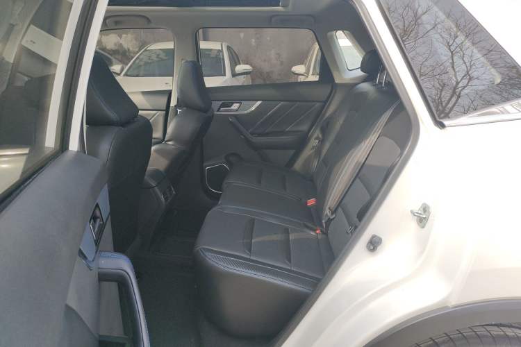 Used Venucia T60EV 2020 AI Enjoyment Model Left Rear Seat