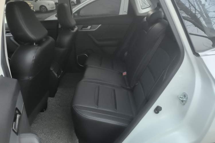 Used Venucia T60EV 2020 AI Enjoyment Model Left Rear Seat