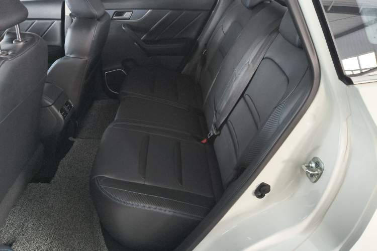 Used Venucia T60EV 2020 AI Enjoyment Model Left Rear Seat
