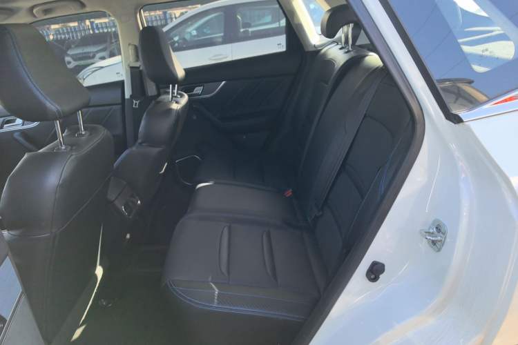 Used Venucia T60EV 2020 AI Enjoyment Model Left Rear Seat