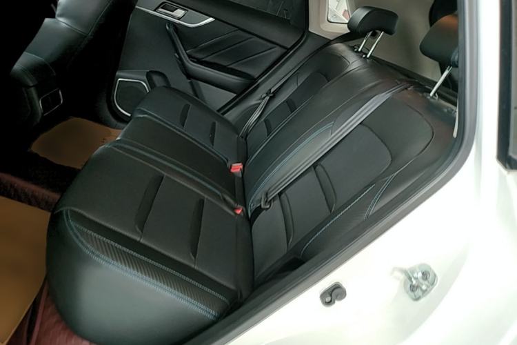 Used Venucia T60EV 2020 AI Enjoyment Model Left Rear Seat