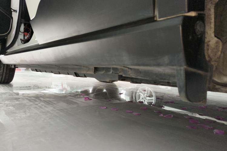 Used Venucia T60EV 2020 AI Enjoyment Model Left Side Sill