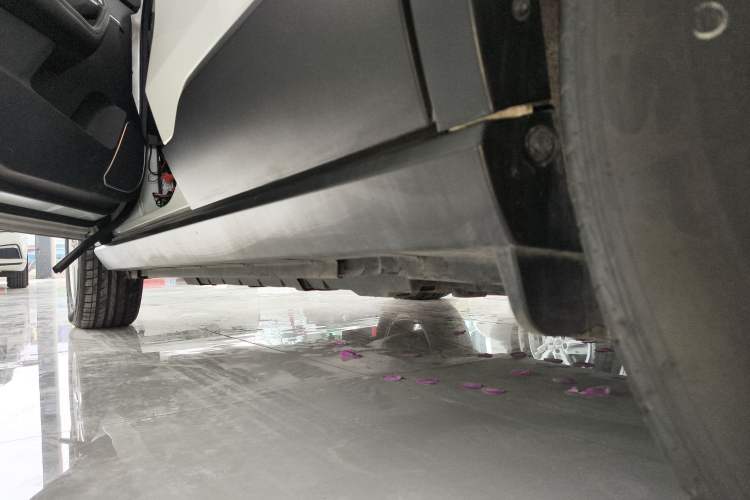 Used Venucia T60EV 2020 AI Enjoyment Model Left Side Sill