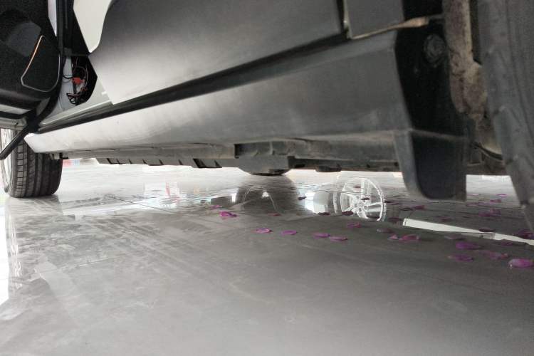 Used Venucia T60EV 2020 AI Enjoyment Model Left Side Sill