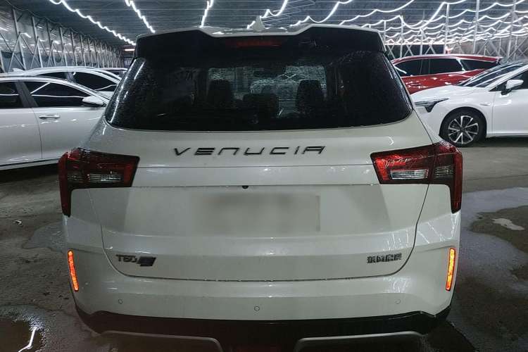 Used Venucia T60EV 2020 AI Flagship Model Rear