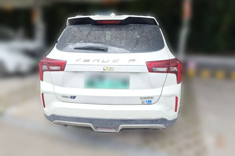 Used Venucia T60EV 2020 AI Enjoyment Model Rear