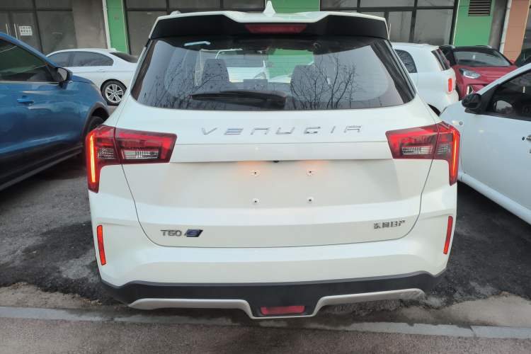 Used Venucia T60EV 2020 AI Enjoyment Model Rear