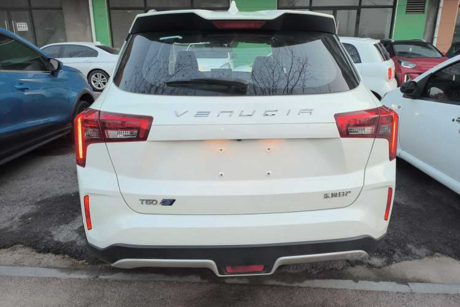 Used Venucia T60EV 2020 AI Enjoyment Model Rear