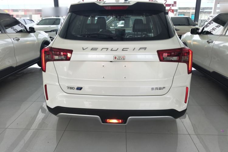 Used Venucia T60EV 2020 AI Enjoyment Model Rear