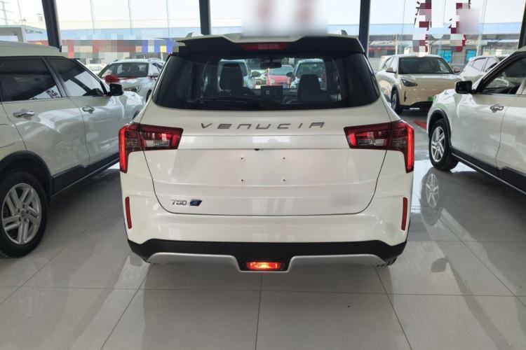 Used Venucia T60EV 2020 AI Enjoyment Model Rear