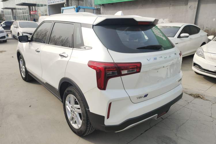 Used Venucia T60EV 2020 AI Enjoyment Model Rear Left 45 Deg