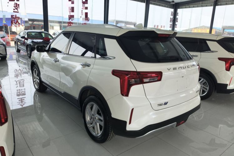 Used Venucia T60EV 2020 AI Enjoyment Model Rear Left 45 Deg