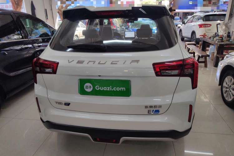 Used Venucia T60EV 2020 AI Deluxe Model Rear