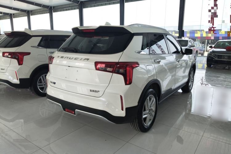 Used Venucia T60EV 2020 AI Enjoyment Model Rear Right 45 Deg