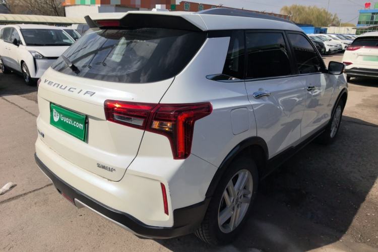 Used Venucia T60EV 2020 AI Enjoyment Model Rear Right 45 Deg