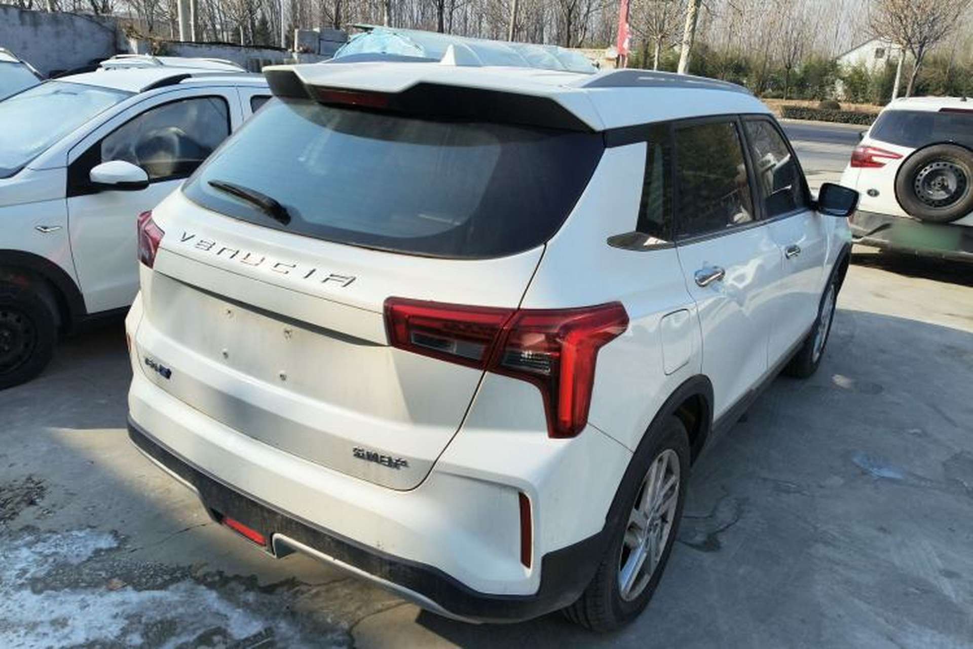 Used Venucia T60EV 2020 AI Enjoyment Model Rear Right 45 Deg