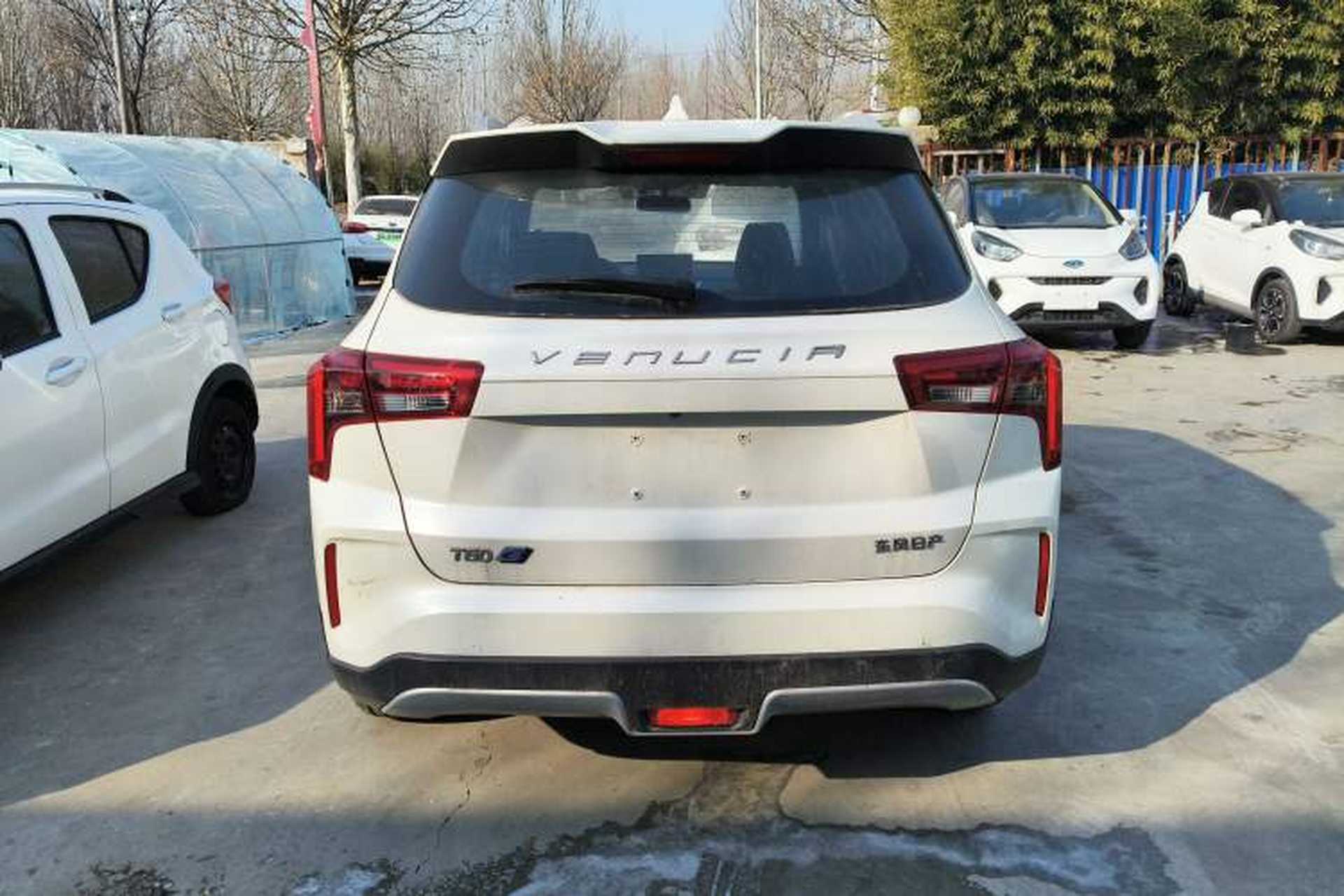 Used Venucia T60EV 2020 AI Enjoyment Model Rear