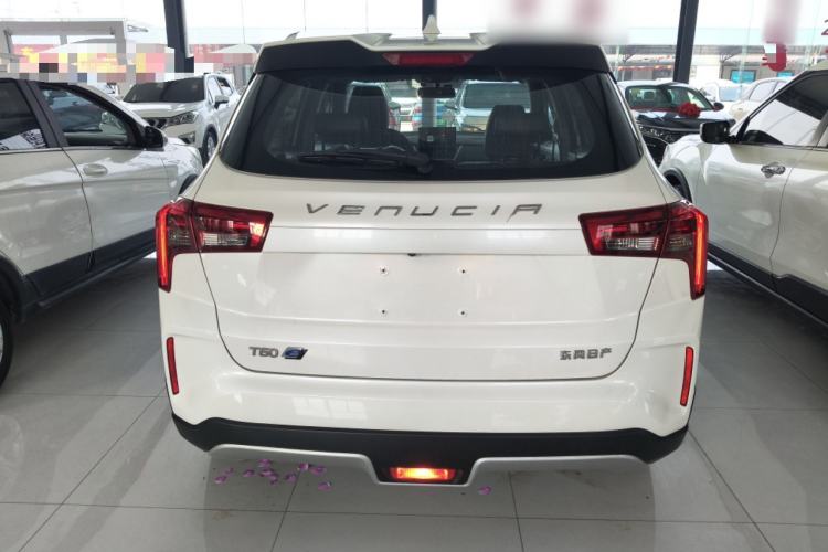 Used Venucia T60EV 2020 AI Enjoyment Model Rear