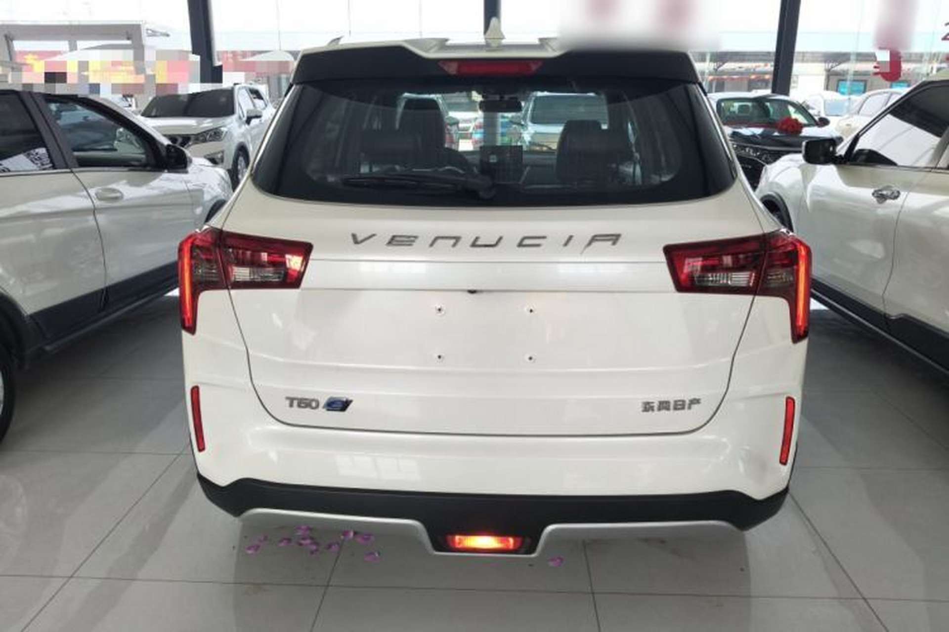 Used Venucia T60EV 2020 AI Enjoyment Model Rear
