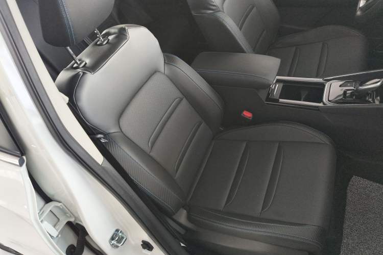 Used Venucia T60EV 2020 AI Enjoyment Model Right Front Seat