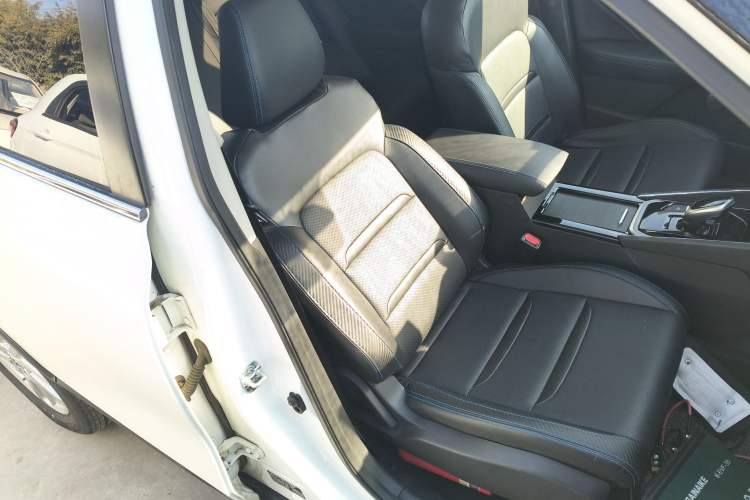 Used Venucia T60EV 2020 AI Enjoyment Model Right Front Seat