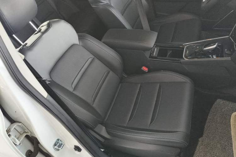 Used Venucia T60EV 2020 AI Enjoyment Model Right Front Seat