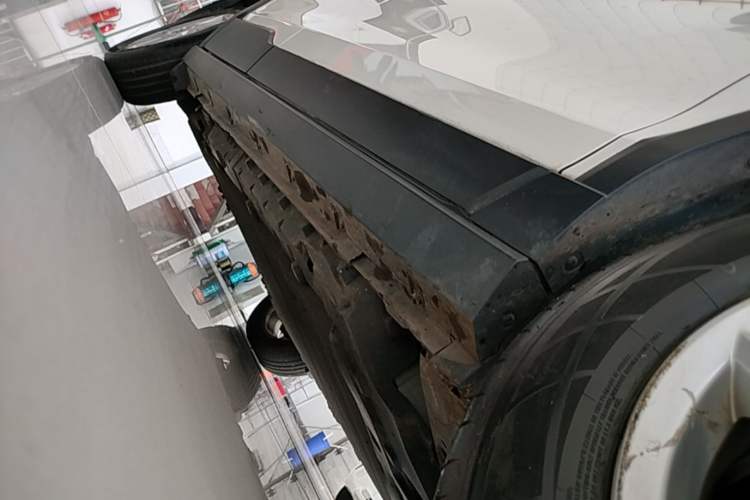 Used Venucia T60EV 2020 AI Enjoyment Model Right Side Sill