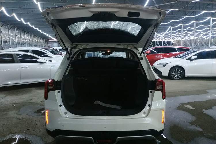 Used Venucia T60EV 2020 AI Flagship Model Trunk