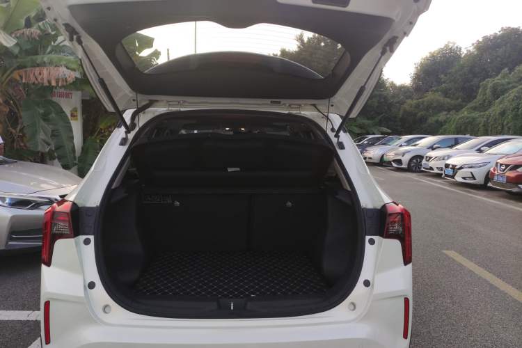 Used Venucia T60EV 2020 AI Flagship Model Trunk