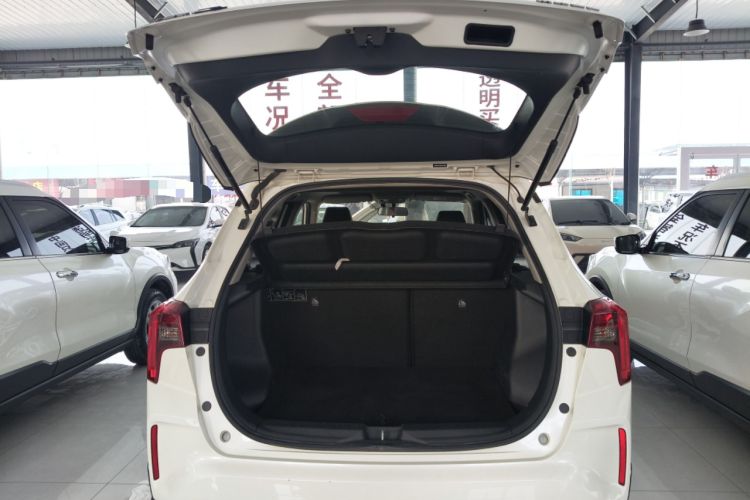 Used Venucia T60EV 2020 AI Enjoyment Model Trunk
