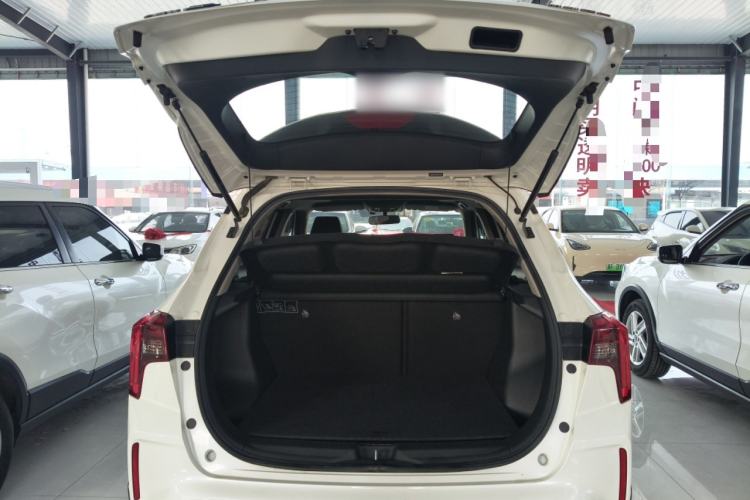 Used Venucia T60EV 2020 AI Enjoyment Model Trunk