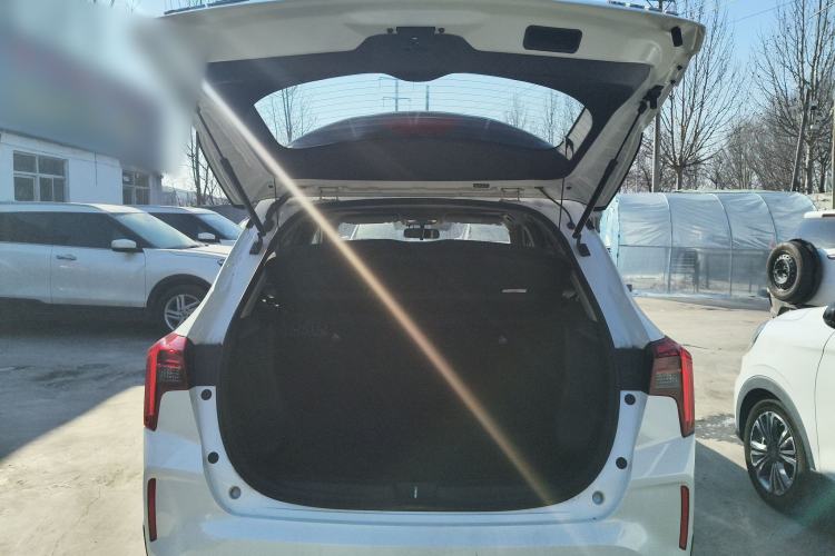 Used Venucia T60EV 2020 AI Enjoyment Model Trunk