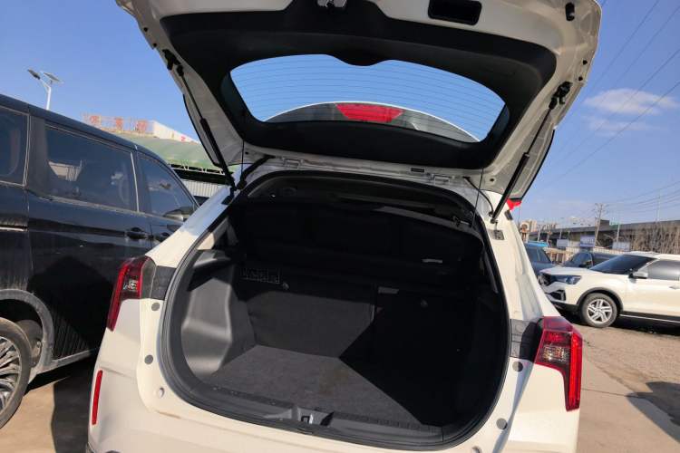 Used Venucia T60EV 2020 AI Enjoyment Model Trunk