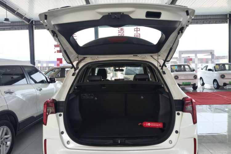 Used Venucia T60EV 2020 AI Enjoyment Model Trunk