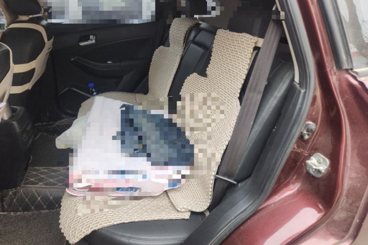 Used Venucia T70 2015 2.0L Manual RuiXiang Edition Left Rear Seat