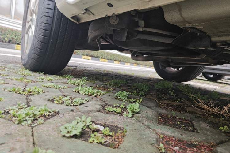 Used Venucia T70 2015 2.0L Manual RuiQu Version Chassis Rear Right