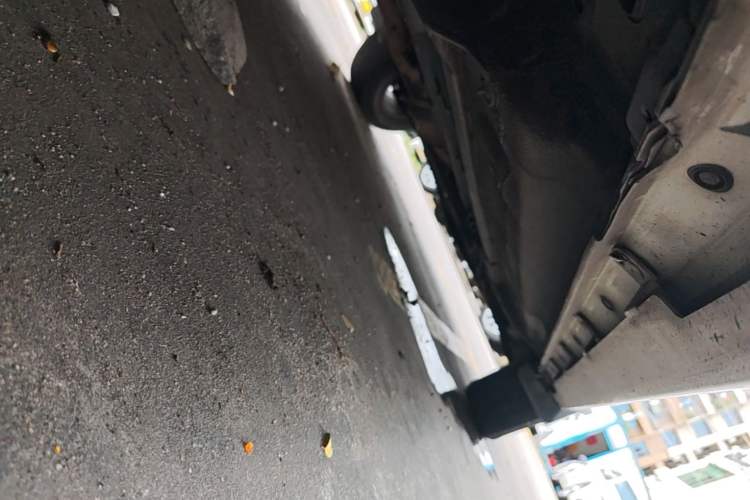 Used Venucia T70 2015 2.0L CVT Smart Edition Right Side Sill