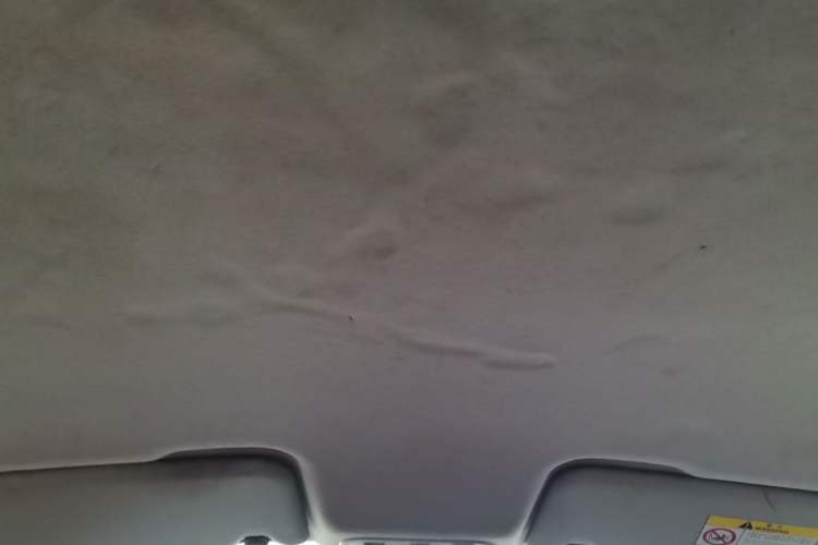 Used Venucia T70 2016 2.0L CVT Smart Choice Edition Headliner