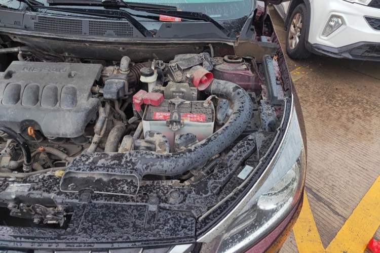 Used Venucia T70 2016 2.0L CVT Smart Choice Edition Engine Bay Left