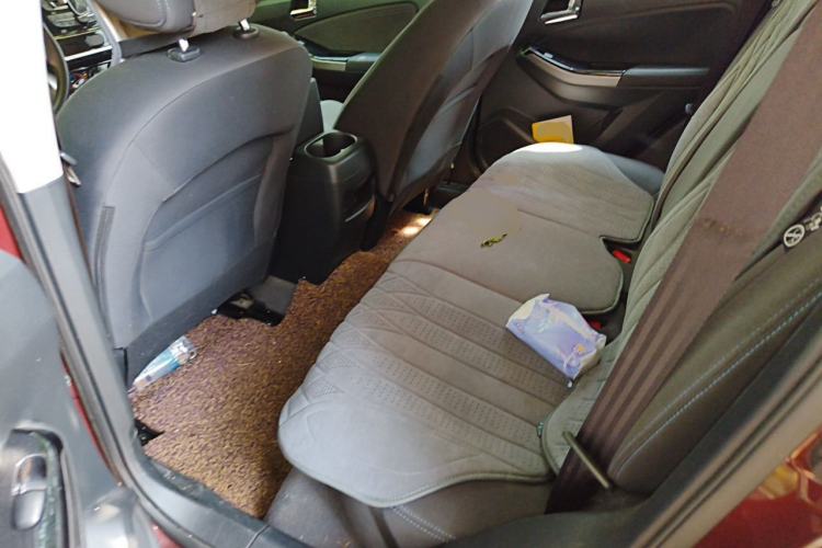 Used Venucia T70 2016 2.0L CVT Smart Choice Edition Left Rear Seat