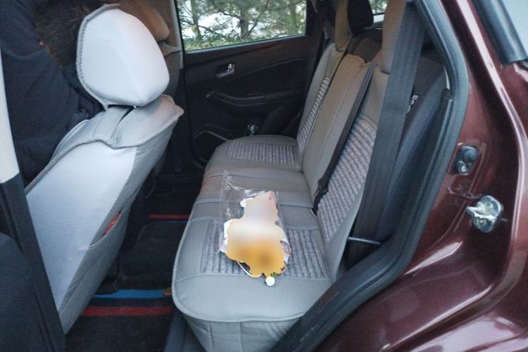 Used Venucia T70 2016 2.0L Manual RuiQu Version Left Rear Seat