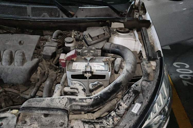 Used Venucia T70 2016 2.0L CVT Smart Choice Edition Engine Bay Left
