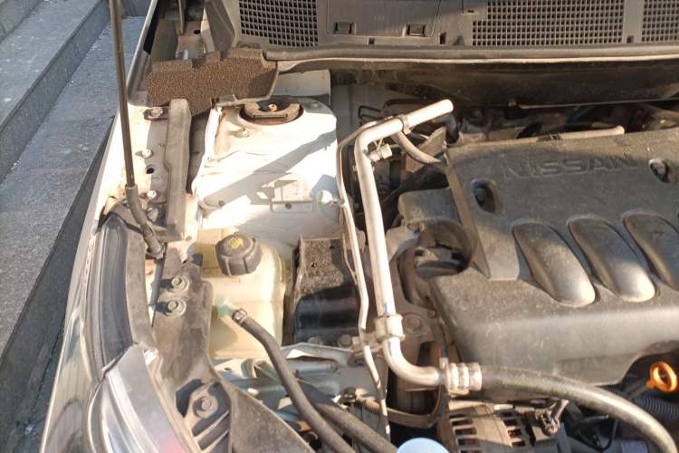 Used Venucia T70 2018 2.0L CVT Smart Enjoyment Version Engine Bay Right