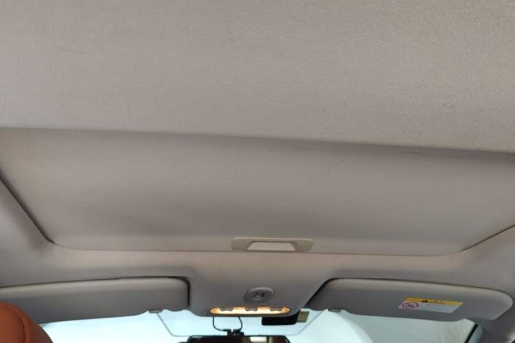 Used Venucia T70 2018 2.0L CVT Smart Enjoyment Sport Edition Headliner