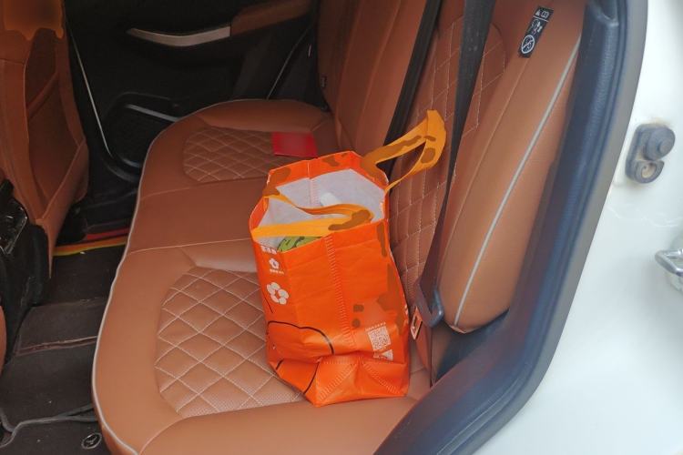 Used Venucia T70 2018 2.0L CVT Smart Enjoyment Sport Edition Left Rear Seat