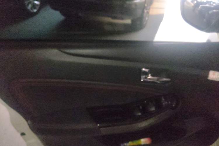 Used Venucia T70 2019 2.0L CVT Enjoy Edition China VI Standard Left Front Door Interior