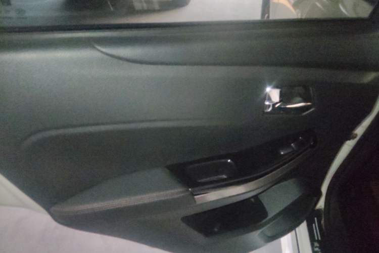 Used Venucia T70 2019 2.0L CVT Enjoy Edition China VI Standard Left Rear Door Interior