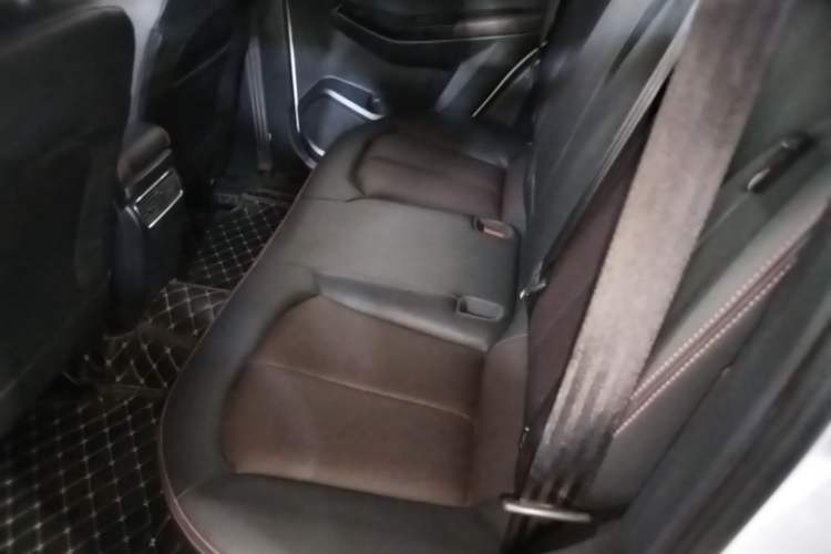 Used Venucia T70 2020 2.0L CVT Elite Edition China VI Standard Left Rear Seat