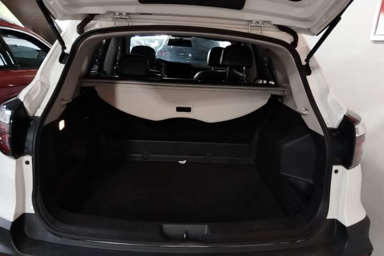 Used Venucia T70 2020 2.0L CVT Elite Edition China VI Standard Trunk